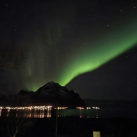 Nappstraumen Seaview Holiday Home Haug Экстерьер фото
